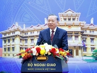 Foreign affairs must play pioneering role, provide sound advice, take prompt action: Top leader